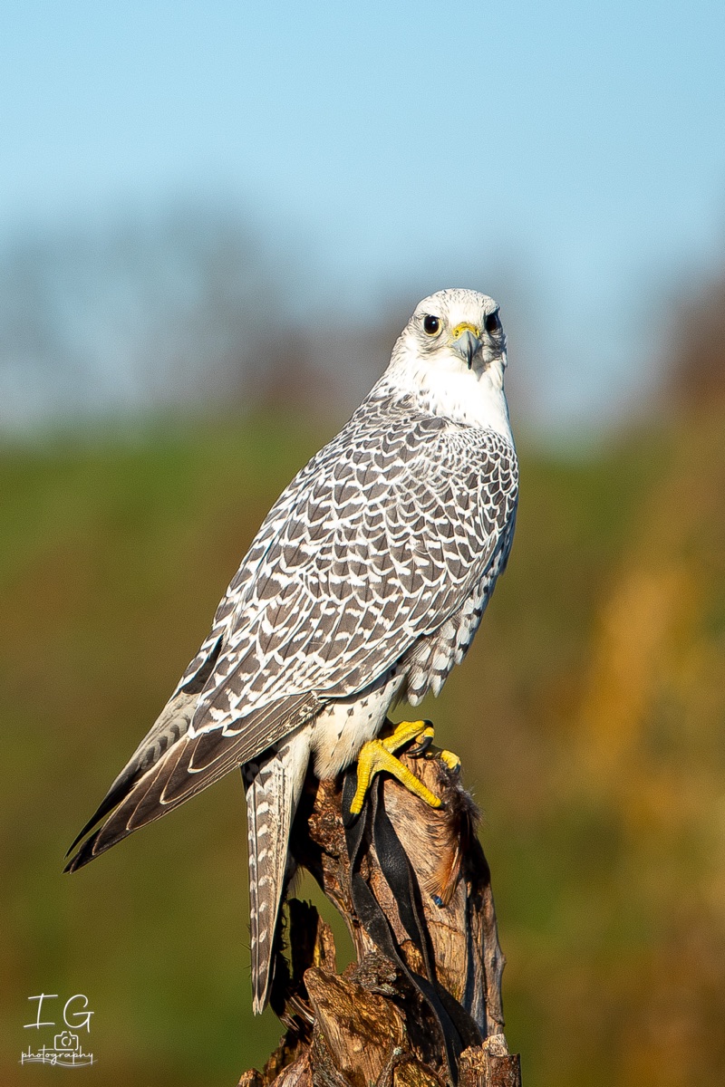 1DX43093 21 november 2021 1145 57